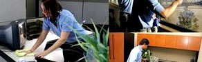 Офисная чистота: доверьтесь комнатным супергероям () Офисная чистота: доверьтесь комнатным супергероям